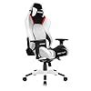 AKRacing Masters Series Gaming Chair with High Backrest, Recliner ...
