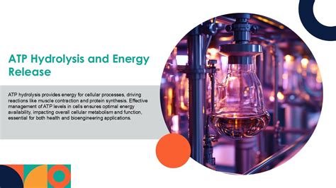 Rezultat imagine pentru ATP Process