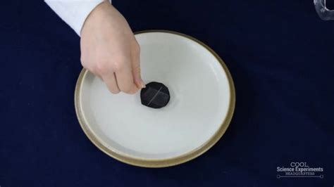 Floating Needle Compass Science Experiment