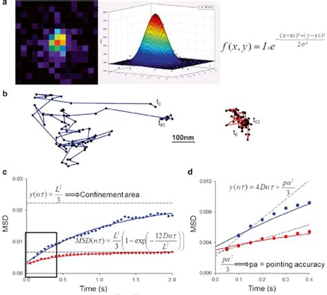 Image result for Single Particle Tracking Algorithm