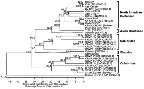 Evaluation of Signaling Pathways Profiling in Human Dermal Endothelial ...