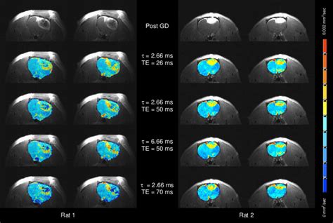 Diffusion Maps Pseudo-Time 的图像结果