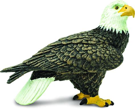 Buy Safari Ltd Wings of the World Bald Eagle Online at Lowest Price in ...