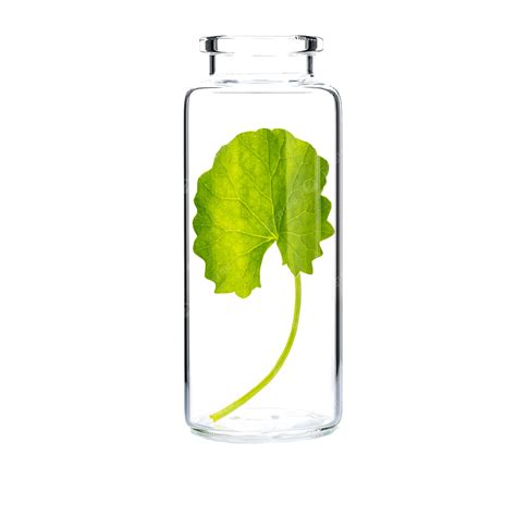 Natural Centella Asiatica Skin Care In Glass Bottle On, Medicine, Moisturizer, Aging PNG ...