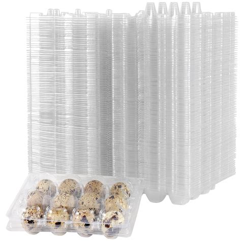 Manchap 150 Pack 12 Grids Plastic Quail Egg Carton Bulk | Desertcart INDIA