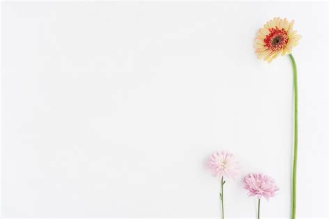 Image result for How to Store Data in SQL Server Using Dot Net Maui