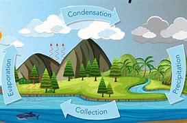 Image result for Water Cycle Picture