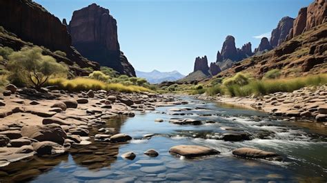 Beautiful Environment 的图像结果