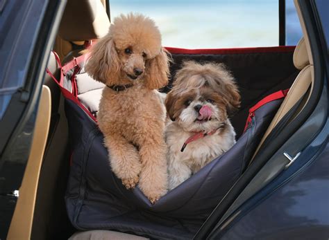 The Best Dog Car Seats of 2025 | The Pet Institute