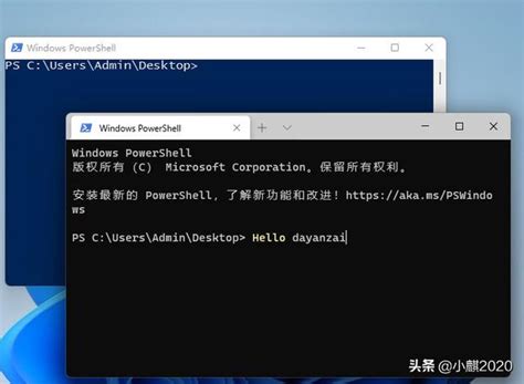 Terminal PowerShell Code 的图像结果