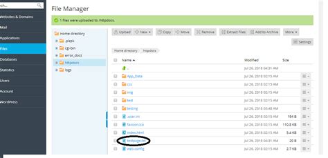 Image result for How to Design Website Using File Manager in Plesk