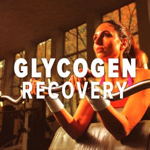 MyFitFuel MFF Rich Chocolate Milkshake Recovery Gold Protein, 2 Kg (4.4 ...