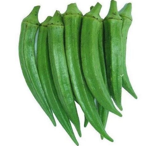 Lady Finger Manufacturer Exporter Supplier Ratnagiri India