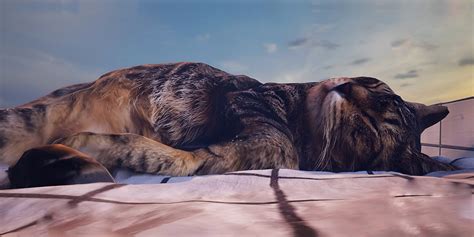 SLEEPY CAT PIT - FREE FOR ALL 2149-3326-8455 by boingboing - Fortnite ...