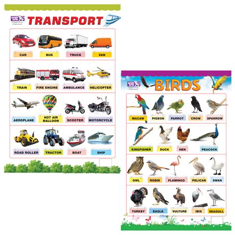 Transport and Birds Educational Wall Charts for Kids – PurpleTurtle Store