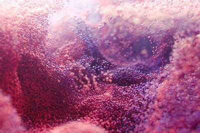 Bad Particles 的图像结果