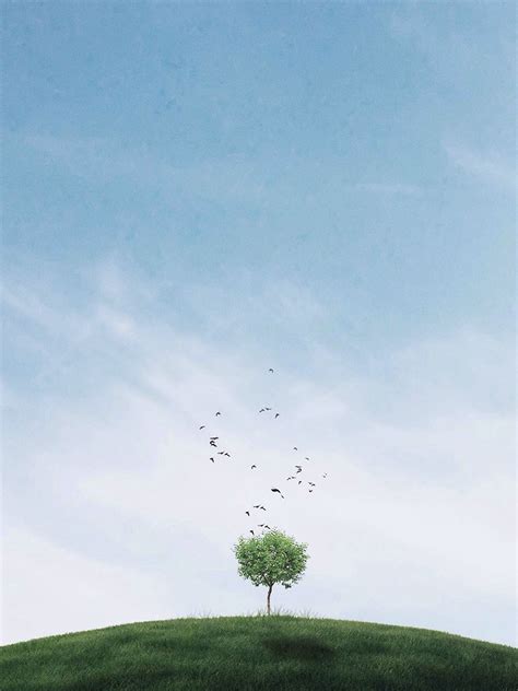 Tree Wallpaper Android 的图像结果