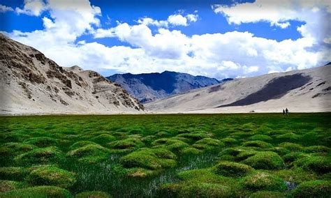 E Ladakh Tourism (Leh) - All You Need to Know BEFORE You Go