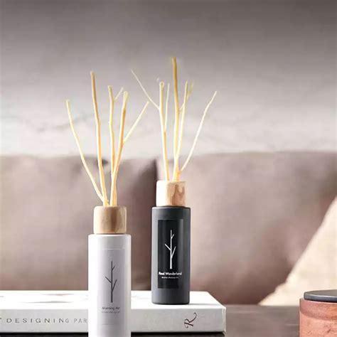 Image result for Glass Toroid Diffuser