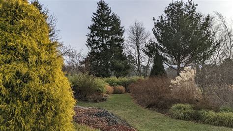 Winter Garden Design Workshop - Hybrid, Massachusetts Horticultural ...