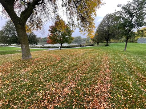 Casey Lake Park – Great Minnesota Outdoors