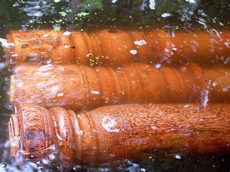 D'source Wood-Making Process | Coconut Shell, Kerala | D'Source Digital ...
