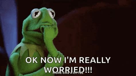 Cartoon GIFs: Free Animated GIFs & Memes | Memes.co.in