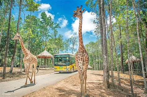Vinpearl Safari Phu Quoc Ticket, Vietnam - Klook India