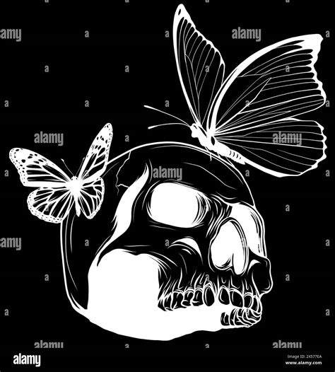 white silhouette of Skull with butterflys on black background. Vector illustration design Stock ...