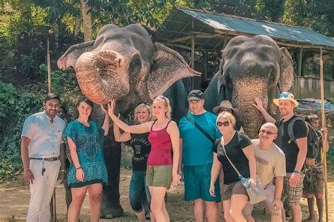 WALKERS EVOLUTION (2026) All You Need to Know BEFORE You Go (with ...