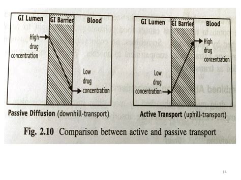 MECHANISMS OF DRUG ABSORPTION | PPT