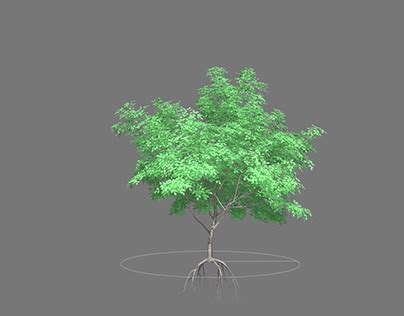 Image result for SpeedTree Modeling