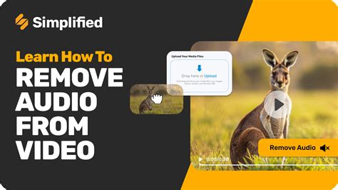 Image result for Remove Audio From Video Software