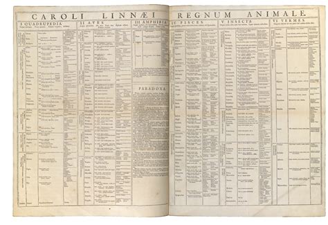 Taxonomy Classification For Humans