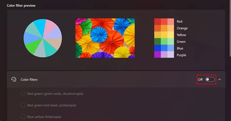 Image result for Windows 11 Camera Filters