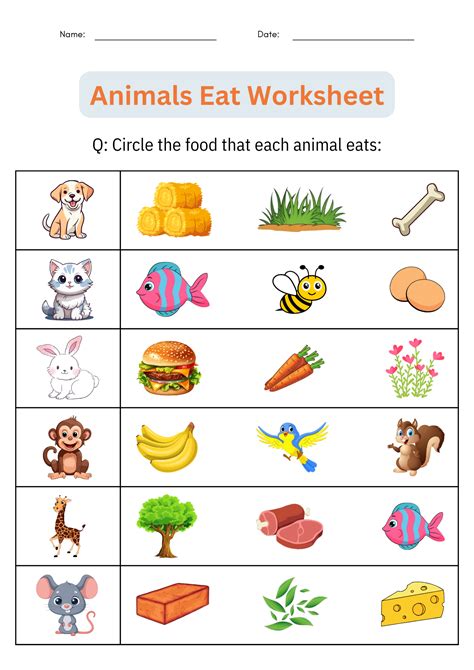 What Is Animals Food Called at Carol Bandy blog