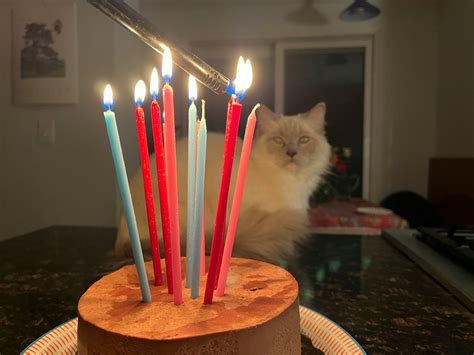 What Is The Least Common Birthday? These 4 Holidays Are The Least ...