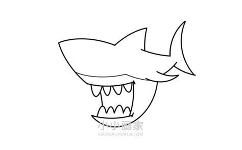 鲨鱼怎么画简笔画简单又漂亮_小小画家