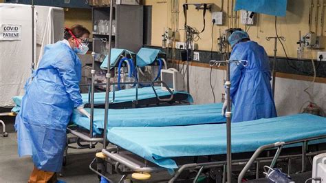 WHO releases report on origins of COVID-19, suggests zoonotic spillover ...