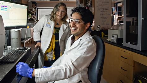 Cognitive Science PhD Programs 的图像结果