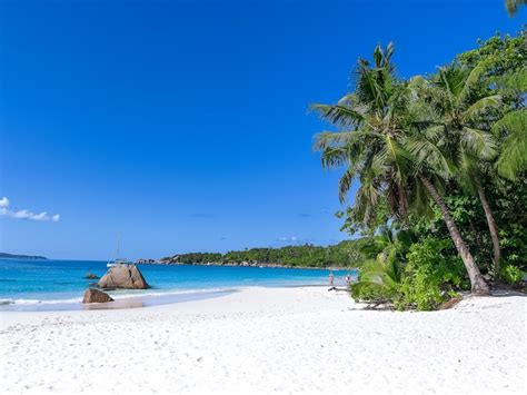 Scenic view of sea against clear blue sky | Premium Photo