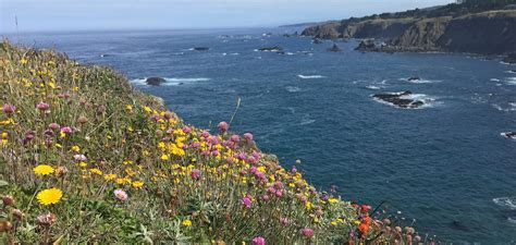 Navarro Point Stewards - Mendocino Land Trust