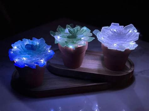 Crafts & Drafts: Coastal Creations - Sea Glass Succulents - JoCo ...
