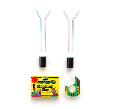 Image result for Electroscope Activity