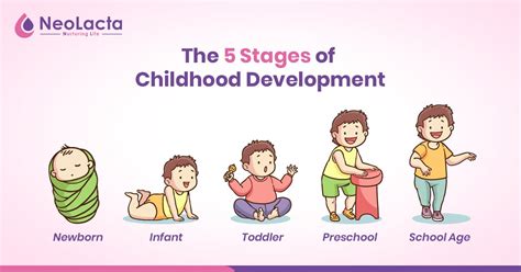 8 Stages of Development with Age 的图像结果