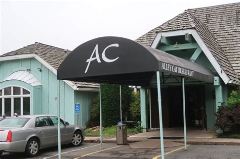 The Alley Cat is relocating to D.C. - Annandale Today