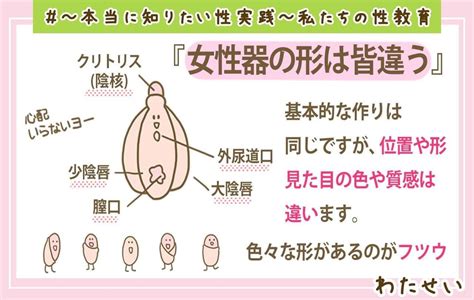 Image result for Virtual Science Lab