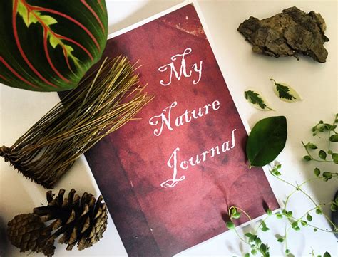 Nature Journals 的图像结果