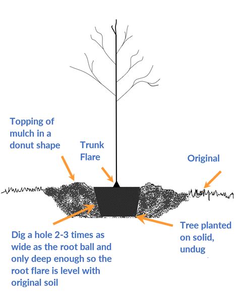 Image result for Tree-Planting Project Materials