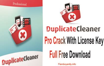 Image result for Duplicate Cleaner 4 License Key